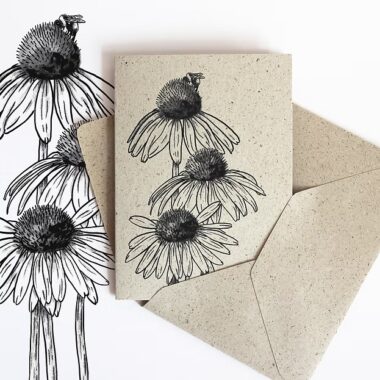 Graspapier Doppelkarte Echinacea