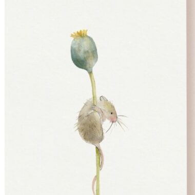 Postkarte Tucan y limon Fuchs Maus auf Mohn